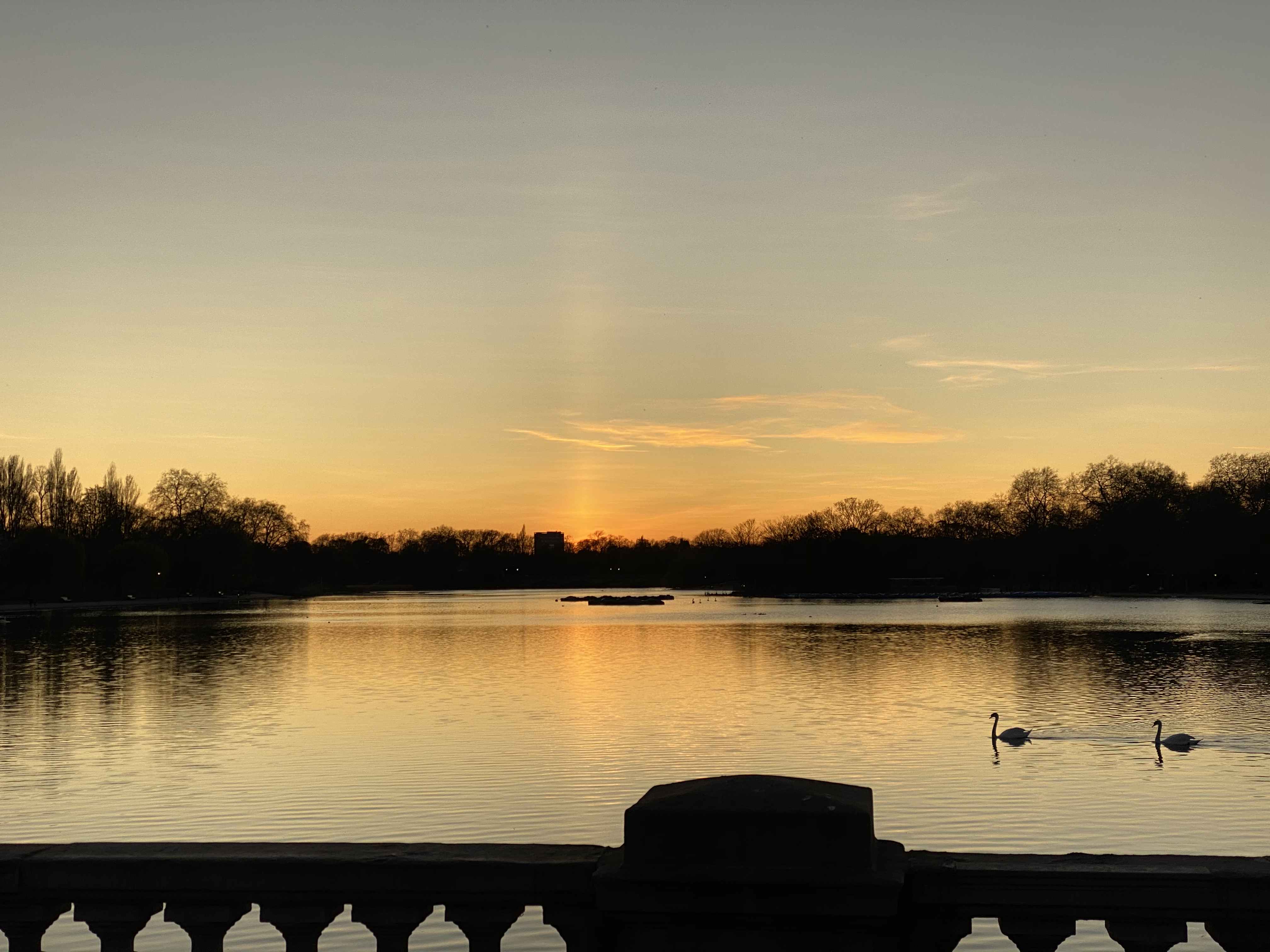 Hyde Park during sunset.